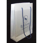 ICE Paper Carrier Bag